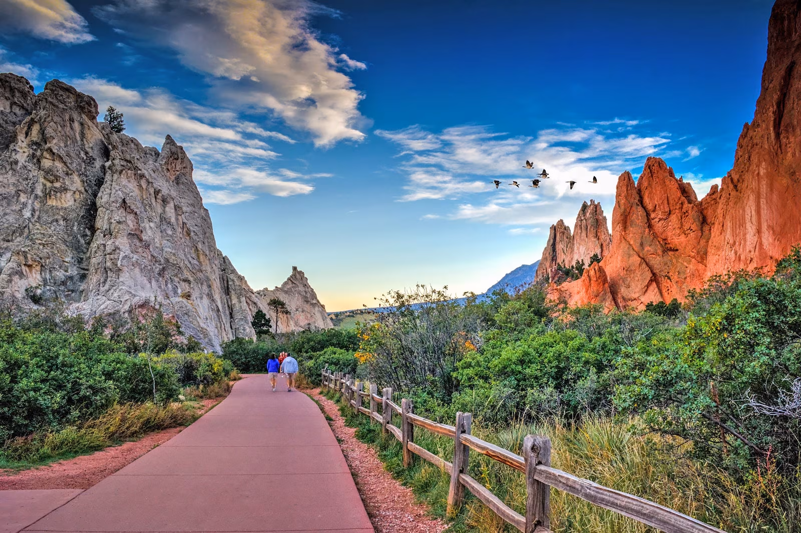 Colorado Springs Digital Marketing & Indoor Billboard Advertising